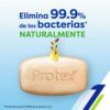 Jabón-Protex-Limpieza-Profunda-(3-uds)-Turn-3 Jabón Protex Limpieza Profunda (3 uds)