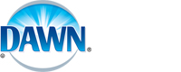 Dawn