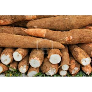 Yuca Criolla, 2 lbs