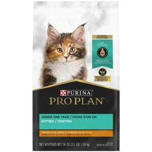 Alimento-Seco-para-Gatitos-Purina-Pro-Plan-Focus-Fórmula-de-Pollo-y-Arroz,-3.5-lbs-Front Alimento Seco para Gatitos Purina Pro Plan Fórmula de Pollo y Arroz, 3.5 lbs