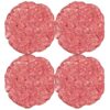 Hamburguesas de Res Angus Certificada 3 lbs