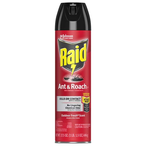 Pesticida Raid Mata Insectos Hormigas y Cucarachas, 17.5 oz