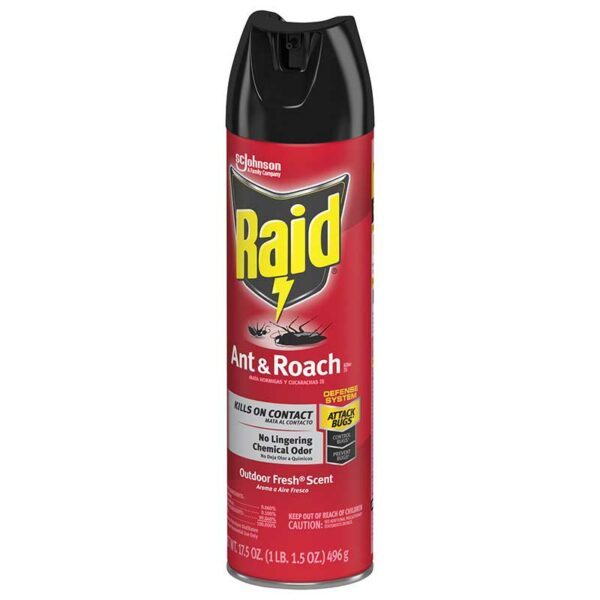 Pesticida Raid Mata Insectos Hormigas y Cucarachas, 17.5 oz