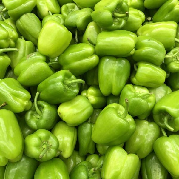 Ají Morrón Verde, 3 lbs