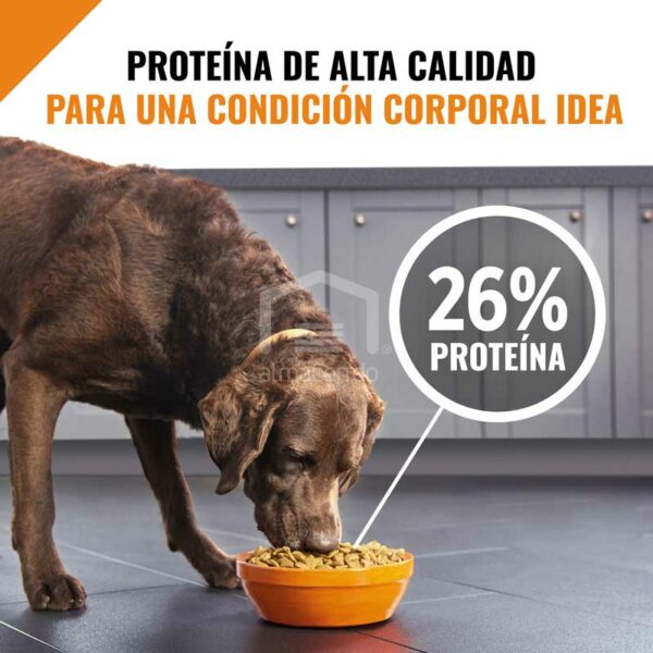 Alimento Seco para Perro Adulto Purina Pro Plan Fórmula Triturada de Pollo y Arroz, 35 lbs