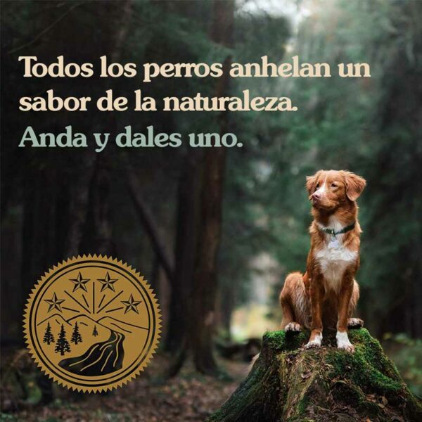 Alimento-para-Perros-Taste-of-The-Wild-High-Prairie_-30lbs-Post-2 Alimento para Perros Taste of The Wild Pacific Stream, 26.8 lbs