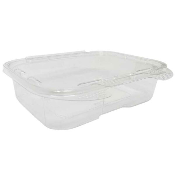 Envase i-Lock 18318 Transparante Plastifar PRD20, 20 oz (50 uds)