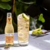 Ginger-Ale-Premium-Fever-Tree_-6.7-oz-_4-pack_-Turn Ginger Ale Premium Fever-Tree, 6.7 oz (4 pack)