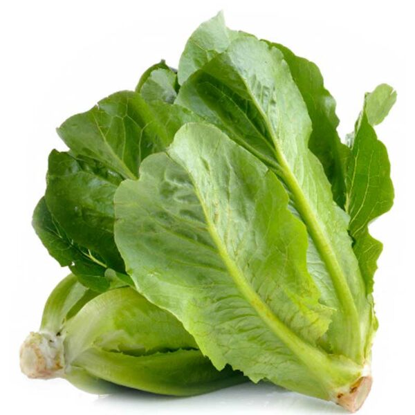 Lechuga Corazón Romana