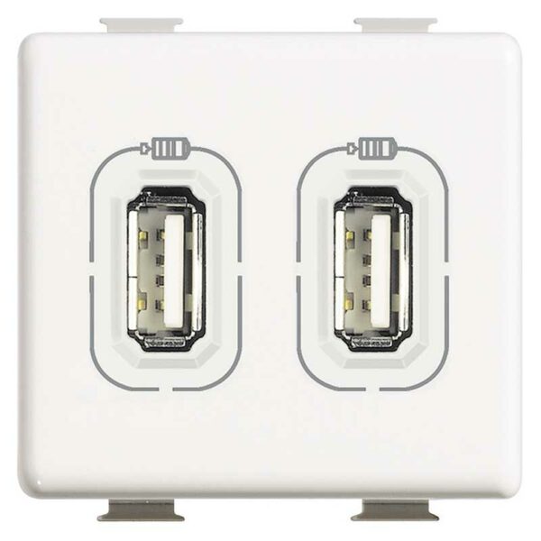 Módulo USB Doble Bticino MATIX