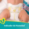 Pañales Pampers Swaddlers No. 1, Caja (96 uds)