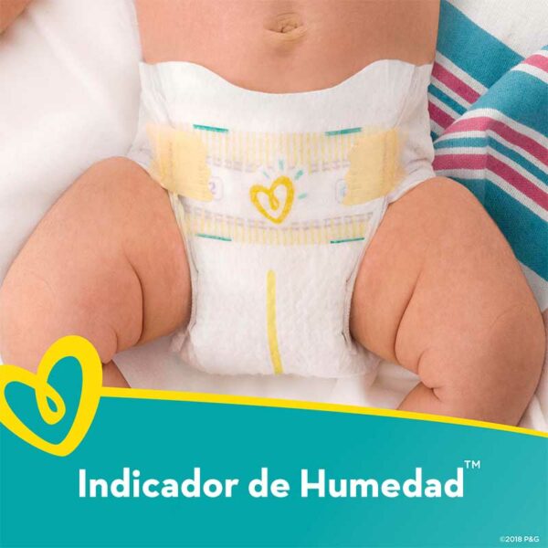 Pañales Pampers Swaddlers No. 1, Caja (96 uds)