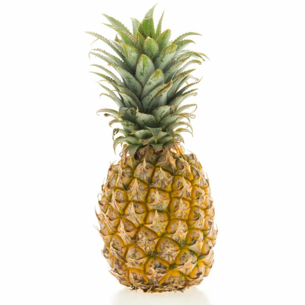 Pin%CC%83a-Premium-_1-ud Piña Cevico Premium (1 ud)