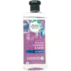 Shampoo-Bio-Herbal-Essences-Renovar-Romero-Y-Hierbas_-400ml-Front Shampoo hidratante Herbal Essences Rosemary & Herbs, 400 ml