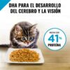 Alimento-Seco-para-Gatitos-Purina-Pro-Plan-Focus-Fo%CC%81rmula-de-Pollo-y-Arroz_-3.5-lbs--Back-2 Alimento Seco para Gatitos Purina Pro Plan Fórmula de Pollo y Arroz, 3.5 lbs