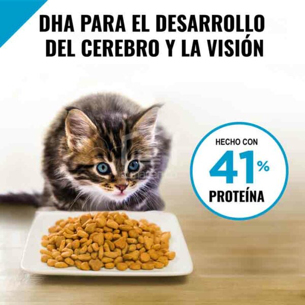 Alimento-Seco-para-Gatitos-Purina-Pro-Plan-Focus-Fo%CC%81rmula-de-Pollo-y-Arroz_-3.5-lbs--Back-2 Alimento Seco para Gatitos Purina Pro Plan Fórmula de Pollo y Arroz, 3.5 lbs