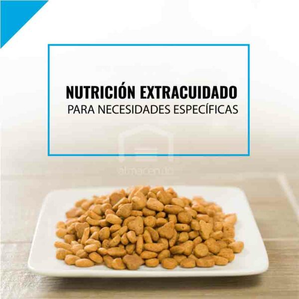 Alimento-Seco-para-Gatitos-Purina-Pro-Plan-Focus-Fo%CC%81rmula-de-Pollo-y-Arroz_-3.5-lbs-Turn Alimento Seco para Gatitos Purina Pro Plan Fórmula de Pollo y Arroz, 3.5 lbs