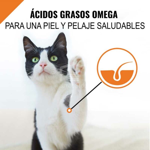 Alimento-Seco-para-Gatos-Adultos-Purina-Pro-Plan-Savor-Fo%CC%81rmula-de-Pollo-y-Arroz_-3.5-lbs-In Alimento Seco para Gatos Adultos Purina Pro Plan Fórmula de Salmón y Arroz, 3.5 lbs
