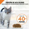 Alimento-Seco-para-Gatos-Adultos-Purina-Pro-Plan-Savor-Fo%CC%81rmula-de-Pollo-y-Arroz_-3.5-lbs-Turn Alimento Seco para Gatos Adultos Purina Pro Plan Fórmula de Salmón y Arroz, 3.5 lbs