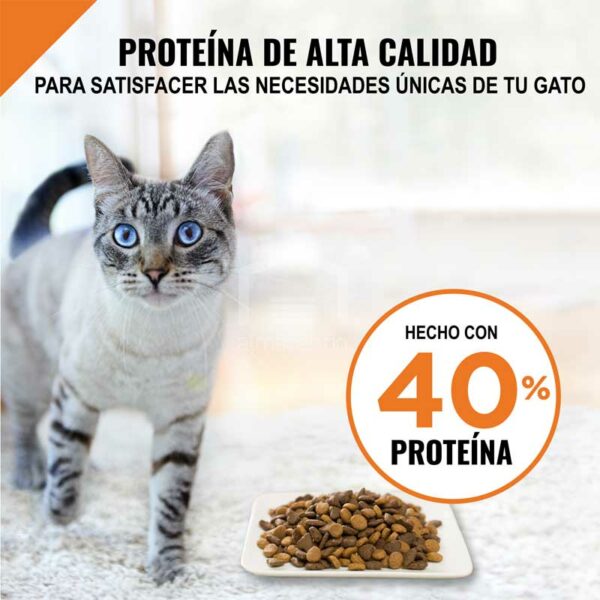 Alimento-Seco-para-Gatos-Adultos-Purina-Pro-Plan-Savor-Fo%CC%81rmula-de-Pollo-y-Arroz_-3.5-lbs-Turn Alimento Seco para Gatos Adultos Purina Pro Plan Fórmula de Salmón y Arroz, 3.5 lbs