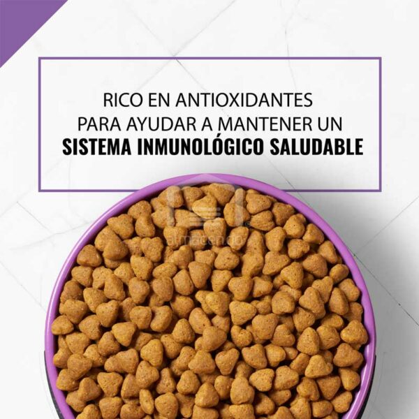 Alimento Seco para Perro Adulto Purina Pro Plan Fórmula Performance 30/20, 37.5 lbs
