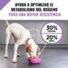 Alimento Seco para Perro Adulto Purina Pro Plan Fórmula Performance 30/20, 37.5 lbs