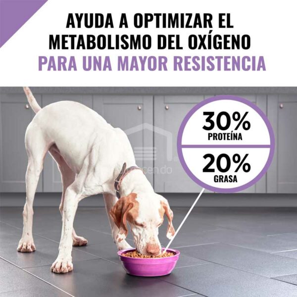 Alimento Seco para Perro Adulto Purina Pro Plan Fórmula Performance 30/20, 37.5 lbs
