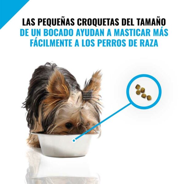 Alimento Seco para Perro Cachorro Purina Pro Plan Fórmula de Raza Miniatura, 5 lbs