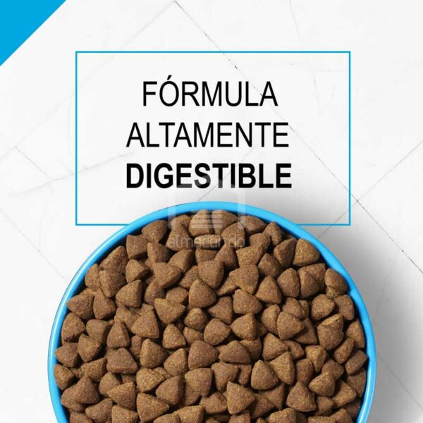 Alimento Seco para Perro Adulto Purina Pro Plan Focus Piel Sensible y Estómago, 4 lbs