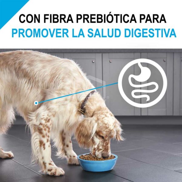 Alimento Seco para Perro Adulto Purina Pro Plan Focus Piel Sensible y Estómago, 4 lbs