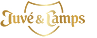 Juvé Camps