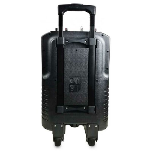 Sistema Completo Karaoke Bluetooth con Pantalla LCD