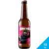 Ceveza-Buche-Sour,-12-oz-Front Cerveza Buches Republica Brewing, 12 oz