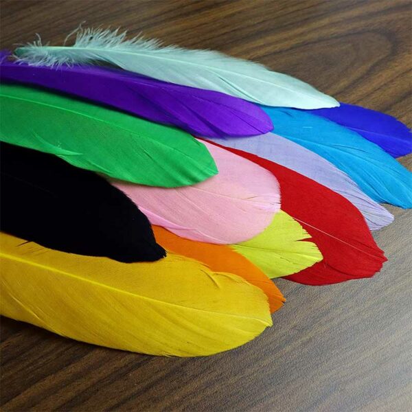 Plumas para Decoraciones Colores Surtidos (25 uds)