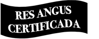 Res Angus Certificada