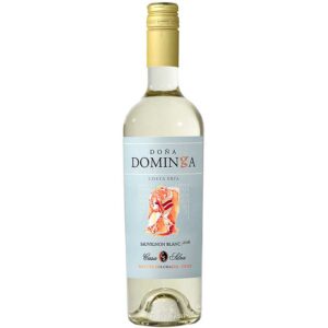 Vino-Doña-Dominga-Sauvignon-Blanc,-750-ml--Front Vino Doña Dominga Sauvignon Blanc, 750 ml