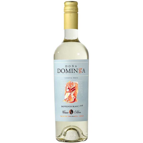 Vino-Doña-Dominga-Sauvignon-Blanc,-750-ml--Front Vino Doña Dominga Sauvignon Blanc, 750 ml