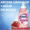 Lavaplatos-Dawn-Ultra-Limpieza-Suave-Granada-y-Agua-de-Rosas,-24-oz-Turn-2 Lavaplatos Dawn Ultra Limpieza Suave Granada y Agua de Rosas, 24 oz