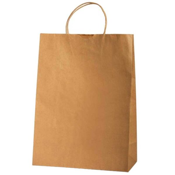 Funda-de-Papel-Kraft-16.5'-x-11.8'-x-5.5'-con-Asa-25C-(100-uds)-Front Funda de Papel Kraft 25C 16.5" x 11.8" x 5.5" con Asa (25 uds)