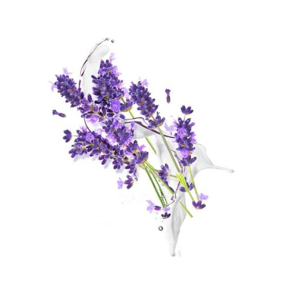 Jabon-para-Mano-Dove-Lavanda-Turn Jabón en Espuma Lavamanos Dove Lavanda y Yogurt, 6.8 oz