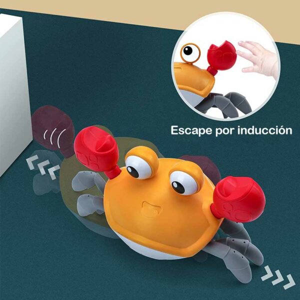 Divertido Cangrejo de Inducción