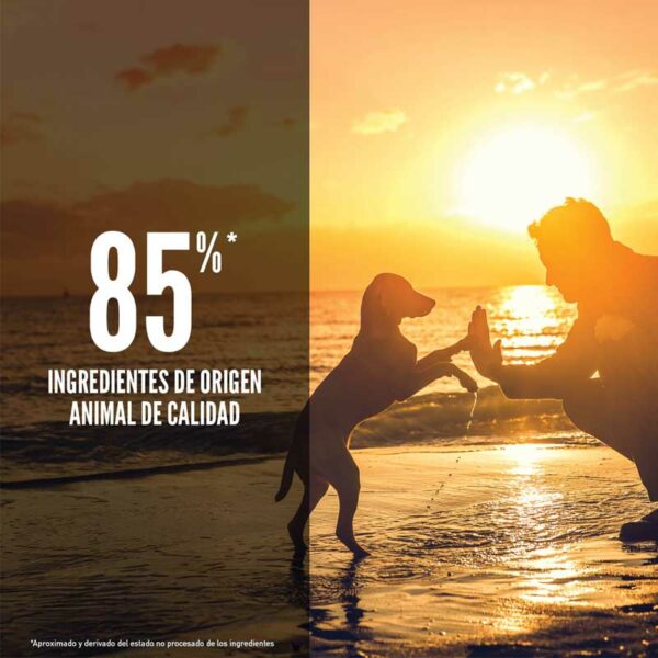 Alimento para Perros Orijen Puppy, 4.5 lbs