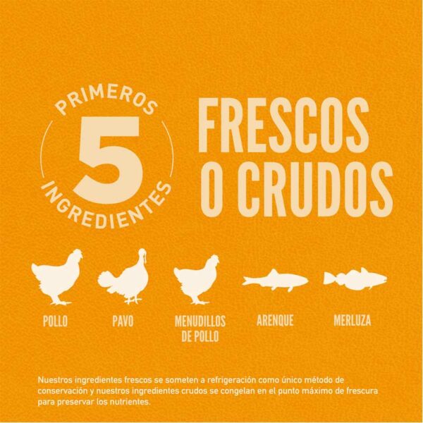 Alimento para Perros Orijen Puppy, 4.5 lbs