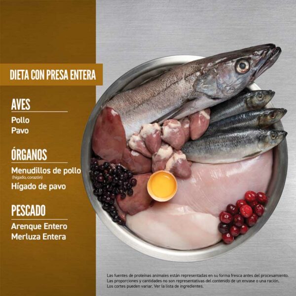 Alimento para Perros Orijen Puppy, 4.5 lbs