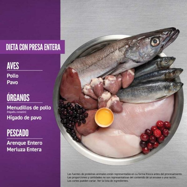 Alimento para Perros Orijen Puppy Raza Grande, 25 lbs