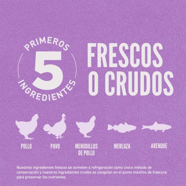 Alimento para Perros Orijen Puppy Raza Grande, 25 lbs