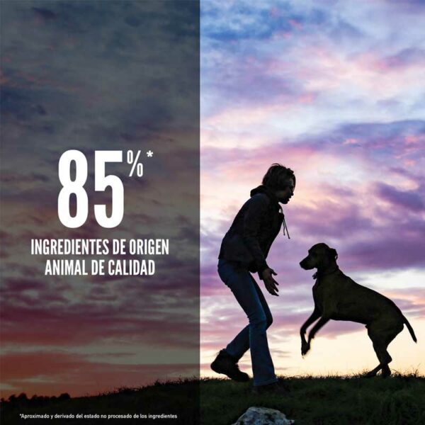 Alimento para Perros Orijen Puppy Raza Grande, 25 lbs