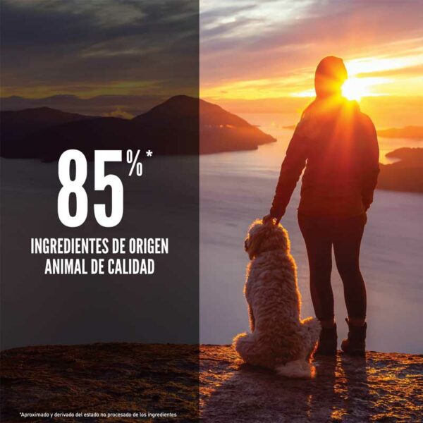 Alimento para Perros Orijen Senior, 4.5 lbs