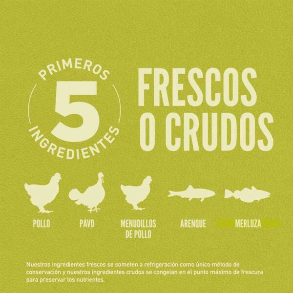 Alimento para Perros Orijen Senior, 4.5 lbs