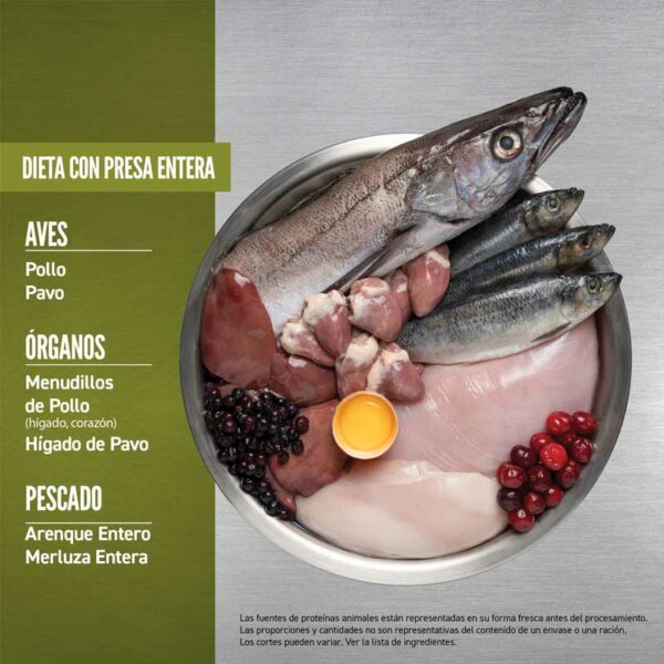 Alimento para Perros Orijen Senior, 4.5 lbs